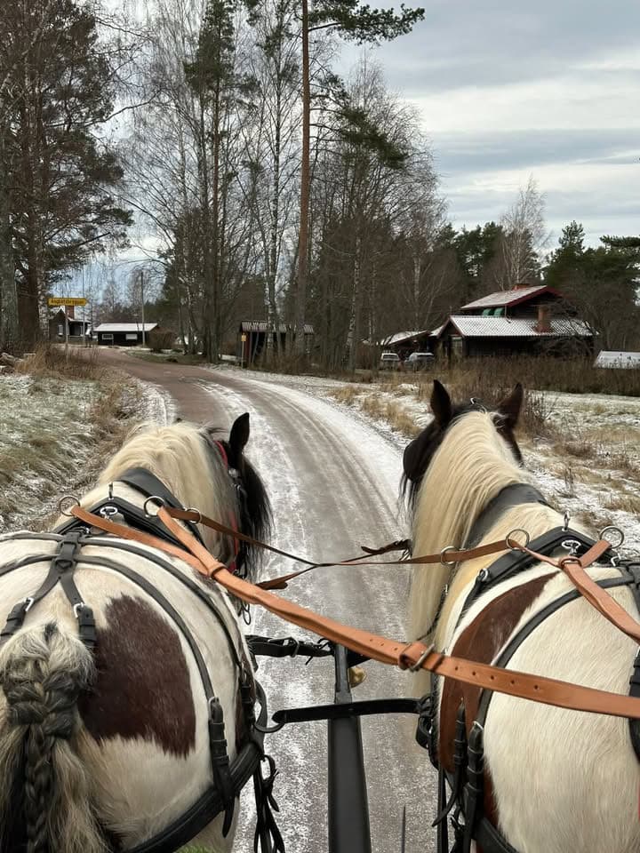 Häst och vagn i Tällberg