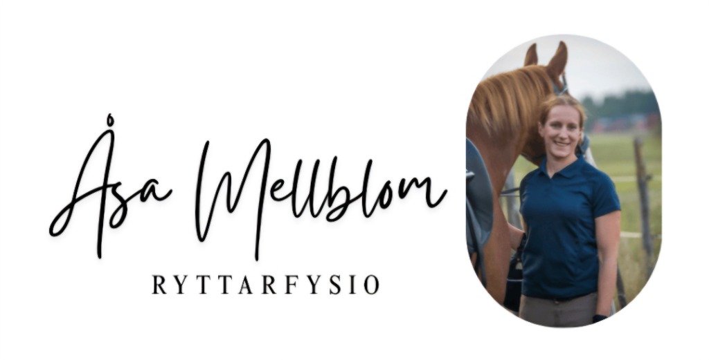 RyttarFysio